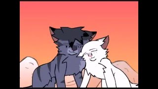 Jayfeather and Half Moon MAP: Final Masquerade (Part 9)