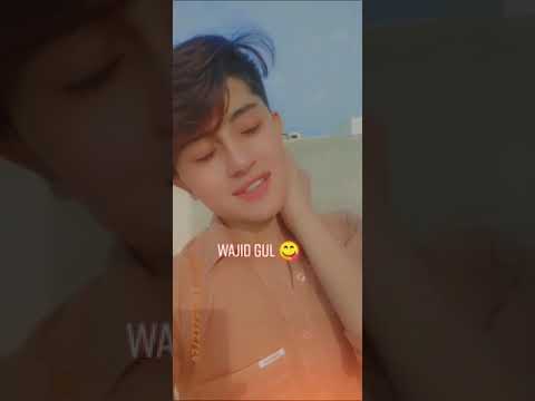 Wajid Koko Official 2 