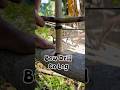 Bow Drill on Log #primitivefirelighting #bushcraft
