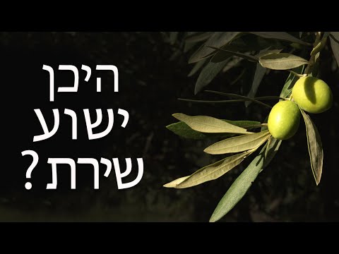 וִידֵאוֹ: כיצד לגלות מי כתב SMS