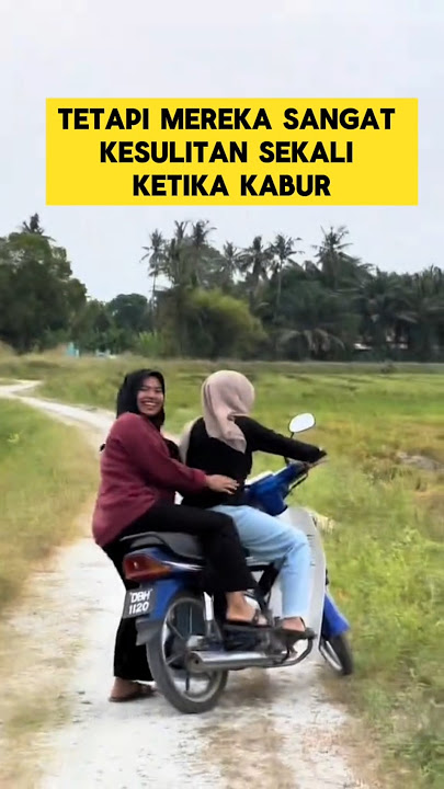 momen lucu ketika wanita wanita jomblo dikejar sapi bikin ngakak ‼️‼️ #ngakak #lucu #ketawa #kocak