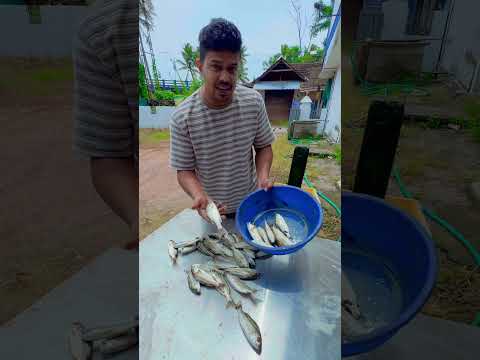 ആരും ചിരിക്കരുത് ഈ മീനിന്റെ പേര് കേട്ട് 👉😁 #fish #fishing #fishmarket #kerala