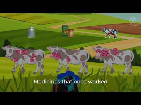 Antimicrobial resistance: What it means to your farm