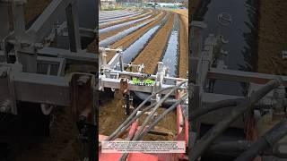 Perfect Raised Beds &amp; Mulch Laying Machine! Super Satisfying Farming