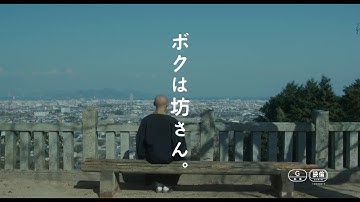 映画『キャロル』予告編 90秒ver