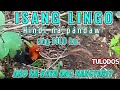 SILO O BITAG SA LABUYO ISANG LINGGO HINDI KO NA PANDAW || TULODOS