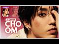Stray Kids 춤 CHOOM AI COVER 