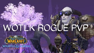 WOTLK | Subtlety Rogue PvP | BGs, Arena & World PvP
