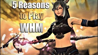 Why You Should Play Whmconjurer And What Other Jobs Do Better
