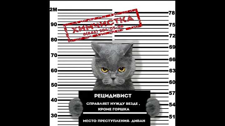 Анимированный пост для инстаграм