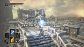 DARK SOULS™ III: The Fire Fades™ Edition Flint vs Stray Demon