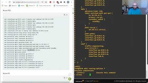 JPR-961 | MPLS | Traffic Engineering | Shared Risk Link Group | 3