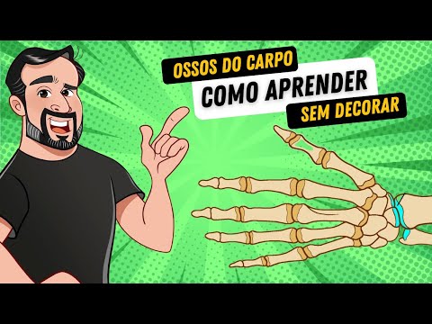 Ossos do Carpo