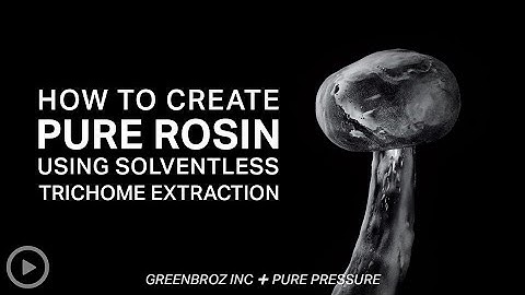 How to Make Pure Rosin Using Solventless Trichome Extraction