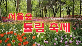 걷기좋은길 서울숲 튤립정원