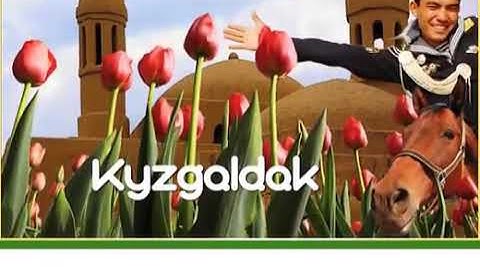 Excel 6.Module 4.Kyzgaldak Ex:2.p 46