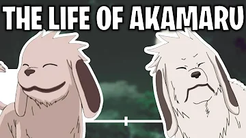 Did Kiba get a new dog?