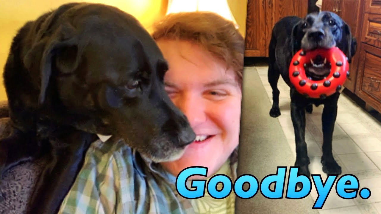 Goodbye: The Weekly Dose Of Roxy - YouTube