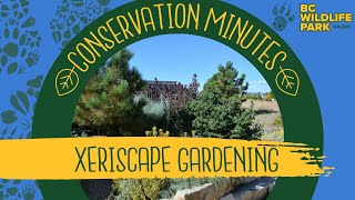 Xeriscape Gardening by BC Wildlife Park Kamloops 36 views 1 year ago 2 minutes, 19 seconds