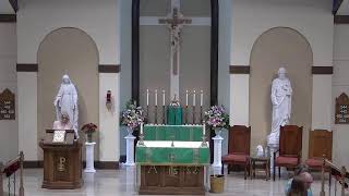 Eleventh Sunday in Ordinary Time, June 13, 2026; 5:00 PM Mass