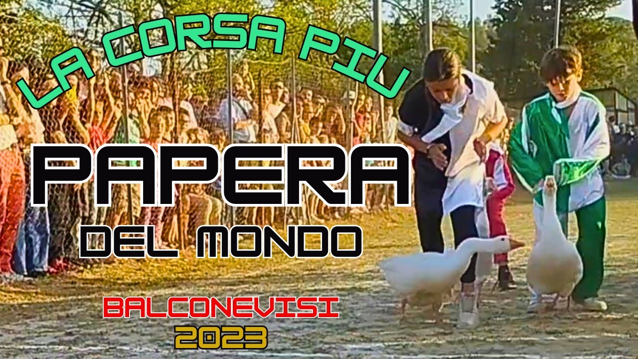 🚀PALIO DEL PAPERO🦆[BALCONEVISI 2023]