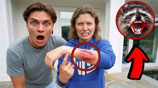 A Vicious Raccoon ATTACKED My Sister!