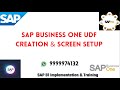 SAP Business One UDF Creation &amp; Screen Setup || S-257