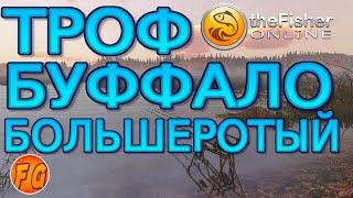 видео: Буффало Большеротый. Казахстан оз. Жусинбай. The Fisher Online. Точка лова Буффало Большеротого. картинка: Буффало Большеротый. Казахстан оз. Жусинбай. The Fisher Online. Точка лова Буффало Большеротого.