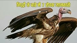 गिद्धों के बारे में रोचक जानकारी , Amazing Vultures