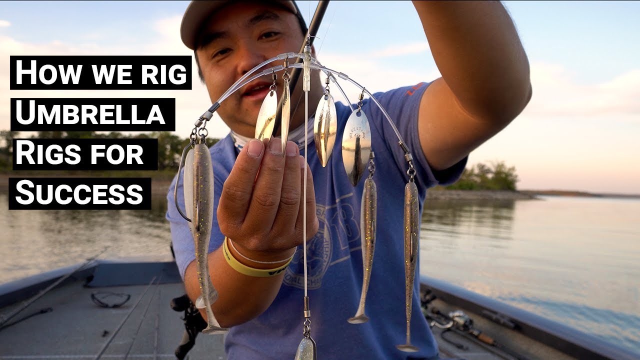 This is how you need to rig your Bass Fishing Umbrella Rigs Setups