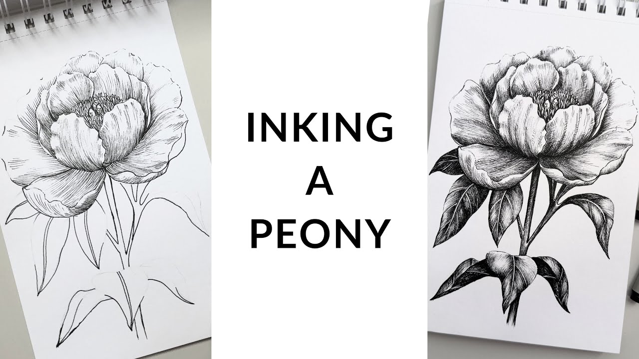 How to Ink a Peony with Micron Pens / Full Process + Shading Tips