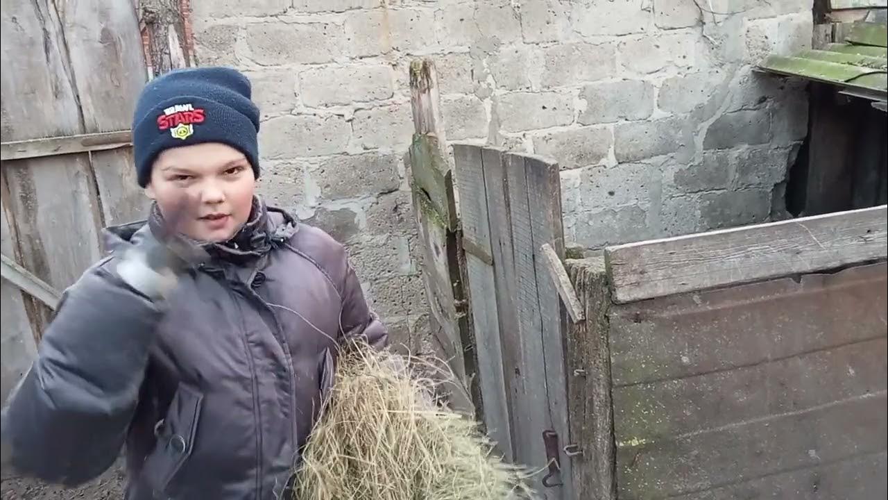 Годую Нюшу, Кроша, Сімку, Білку, Стрілку. Мої хороші 🐐🐐🐐🐐🐐 - YouTube