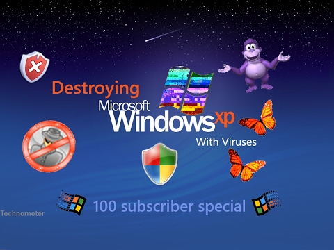 Destroying Windows XP With Viruses | 100 Sub Special