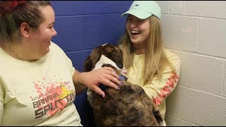 One of a Kind Pet Rescue