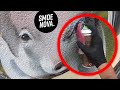 Useless TOOL? HIGH DETAIL photorealistic Animals / MURAL ART