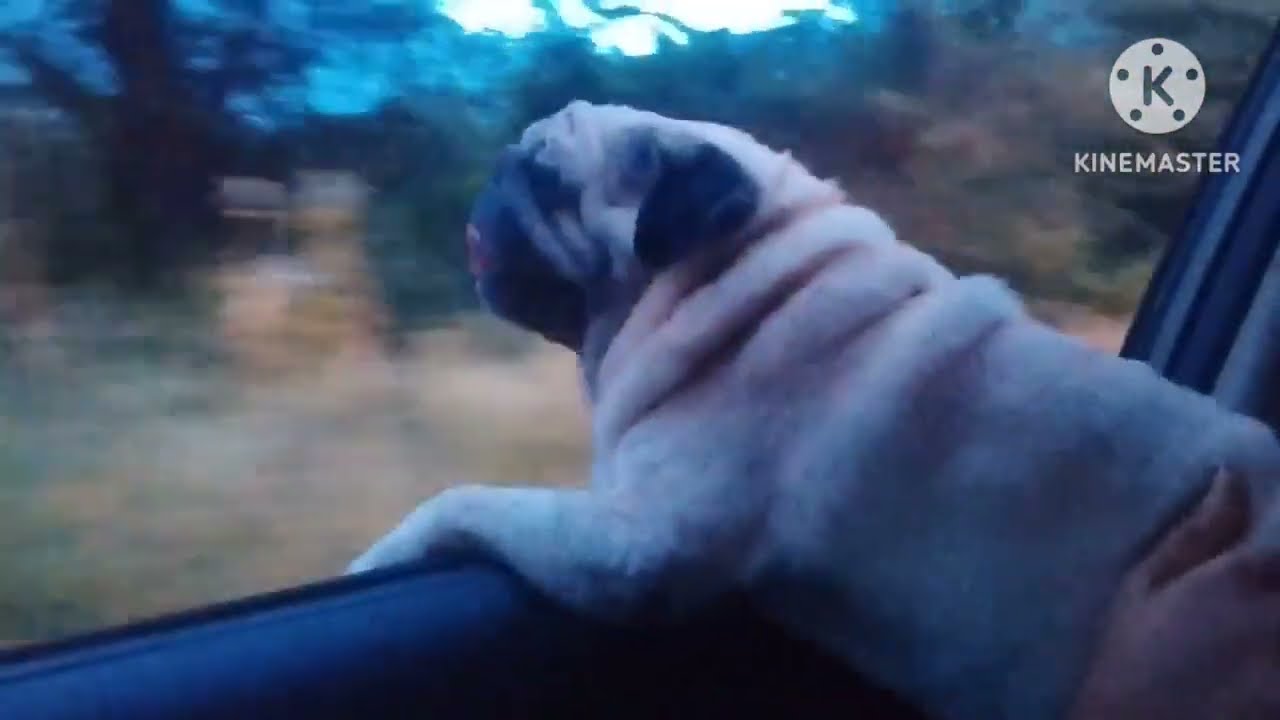 నీను గోరులు కట్ చేయించుకుందామని హాస్పిటల్ కి వెళ్ళాం చాలా నొప్పి😭  