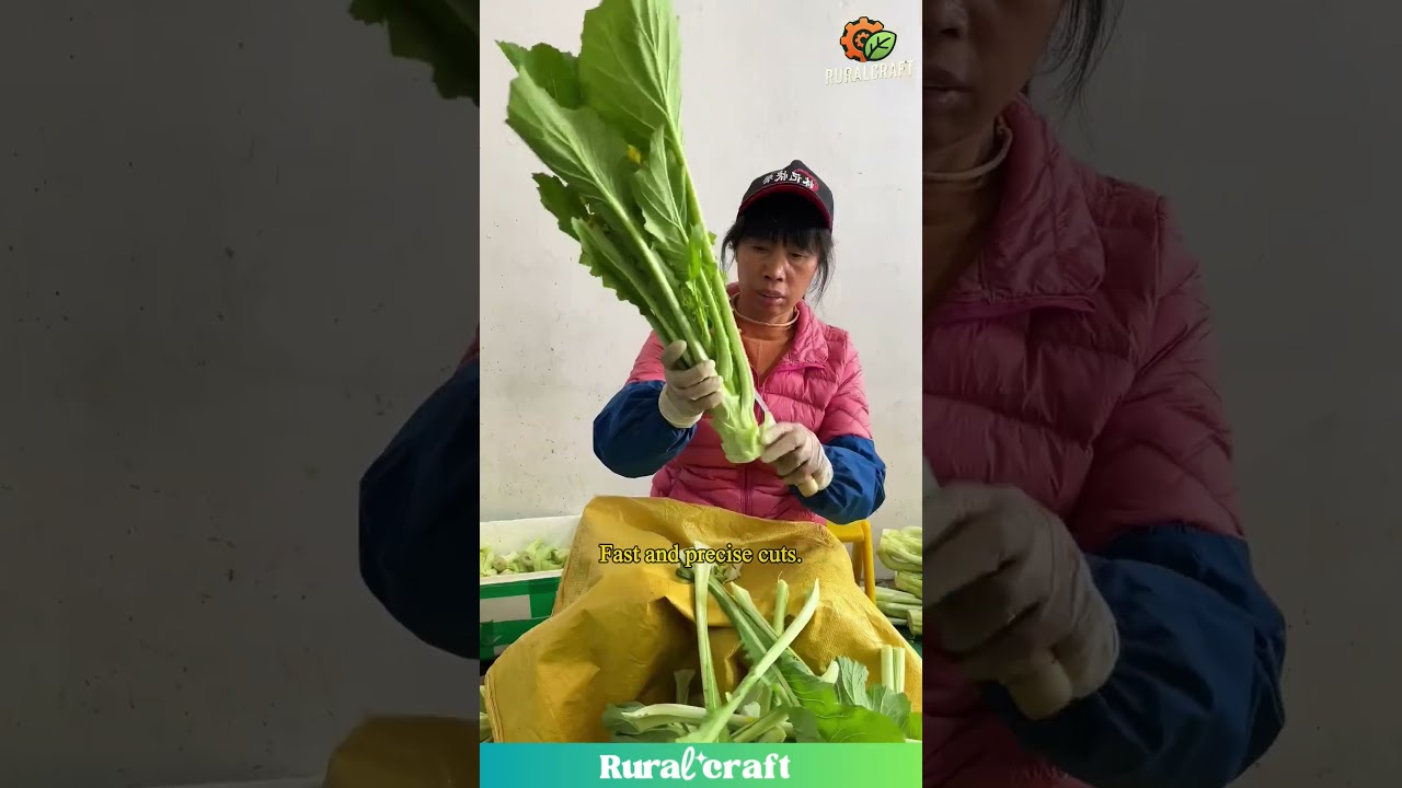 Mastering Vegetable Prep: The Skill of Efficient Trimming 