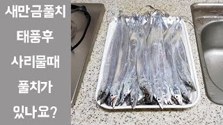 2021.8.26 워킹풀치낚시 기상악화 궁금하신 새만금 풀치 현지상황~나오기는 하네요, 그래도 날씨와 물때 좋은날 출조하세요^^