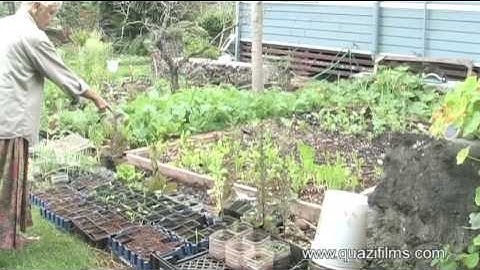 Sustainable Living on the Island of  Molokai - Preview