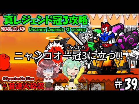 The Battle Cats] Challenge the Boar Trio with Nyanko-Oh!? True