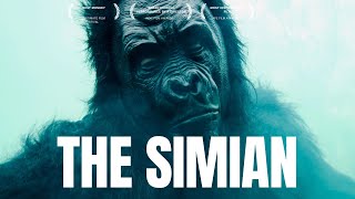 THE SIMIAN | Award-Winning Short Film