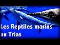 Alexis rastier et le msozoque 2  les reptiles marins au trias