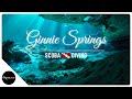 SCUBA Diving Ginnie Springs | Florida Spring Diving