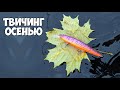 Твичинг воблеров осенью. Щука в ноябре