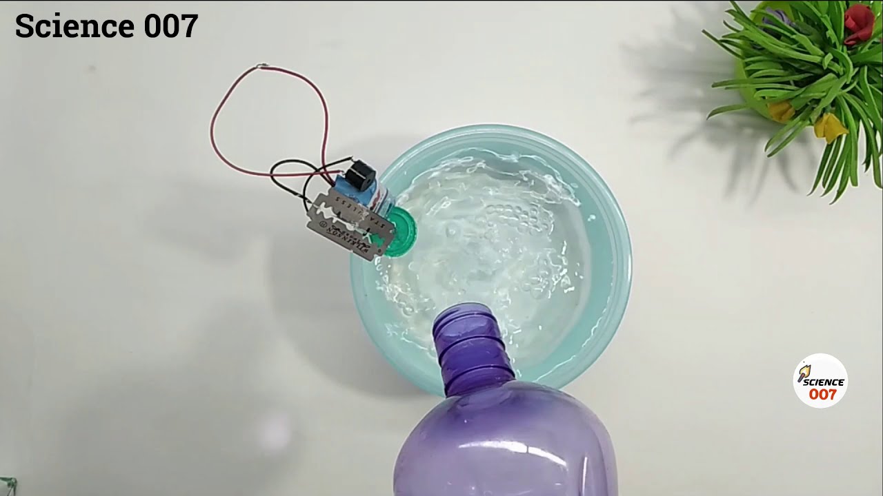 Simple Science Projects | Easy Science Experiment to Do At Home - YouTube