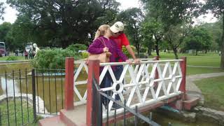 SAN MIGUEL DE TUCUMAN 2019 Mediano