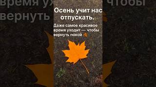 Осень учит нас отпускать 🍂 Мотивирующее видео, которое тронет душу  #autumn #shorts #nature