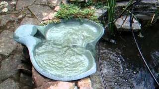 Ebb & Flow Ltd. - A Small Emerson Flowform on a Fish Pond