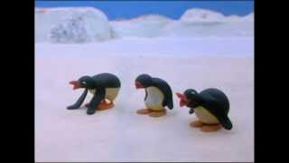 Pingu And His Friends Play Too Loudly - Pingu  Channel