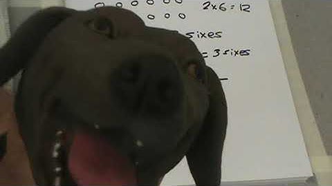 Eureka Math, Grade 3, Module 1, Lesson 10